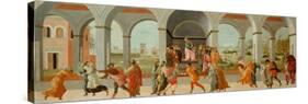 Story of Virginia-Filippino Lippi-Stretched Canvas