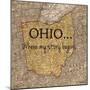 Story Ohio-Tina Carlson-Mounted Art Print