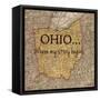 Story Ohio-Tina Carlson-Framed Stretched Canvas