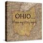 Story Ohio-Tina Carlson-Stretched Canvas