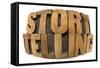 Storytelling Word in Fisheye Lens Perspective - Isolated Text in Letterpress Wood Type-PixelsAway-Framed Stretched Canvas