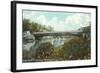 Stoudts Ferry Bridge, Reading-null-Framed Art Print