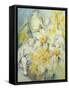 Stourhead Daffodils-Karen Armitage-Framed Stretched Canvas