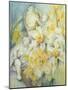 Stourhead Daffodils-Karen Armitage-Mounted Giclee Print