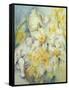 Stourhead Daffodils-Karen Armitage-Framed Stretched Canvas