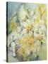 Stourhead Daffodils-Karen Armitage-Stretched Canvas