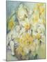 Stourhead Daffodils-Karen Armitage-Mounted Giclee Print