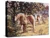 Stow Horse Fair-Paul Gribble-Stretched Canvas