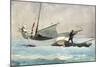 Stowing Sail-Winslow Homer-Mounted Premium Giclee Print