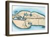 Strabo World Map, C20 A.D-null-Framed Giclee Print