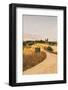 Strada Bianca II-Aledanda-Framed Photographic Print