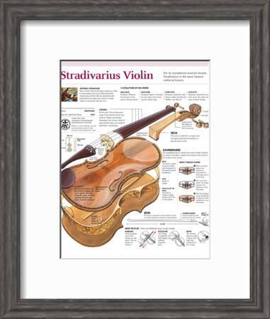 Stradivarius Violin.' Photographic Print | AllPosters.com