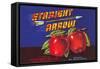 Straight Arrow Apple Crate Label-null-Framed Stretched Canvas