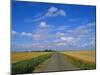 Straight Country Road Through Fenland Near Peterborough, Cambridgeshire, England, UK-Lee Frost-Mounted Photographic Print