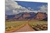 Straight dirt road leading into Professor Valley, Utah-Darrell Gulin-Mounted Photographic Print
