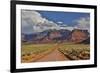 Straight dirt road leading into Professor Valley, Utah-Darrell Gulin-Framed Premium Photographic Print