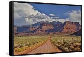 Straight dirt road leading into Professor Valley, Utah-Darrell Gulin-Framed Stretched Canvas