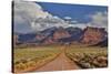 Straight dirt road leading into Professor Valley, Utah-Darrell Gulin-Stretched Canvas
