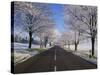 Straight Empty Road Through Rural Lincolnshire in Winter, England, United Kingdom, Europe-null-Stretched Canvas