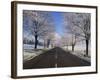 Straight Empty Road Through Rural Lincolnshire in Winter, England, United Kingdom, Europe-null-Framed Photographic Print