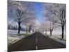 Straight Empty Road Through Rural Lincolnshire in Winter, England, United Kingdom, Europe-null-Mounted Photographic Print