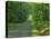Straight Empty Rural Road Through Woodland Trees, Forest of Nevers, Burgundy, France, Europe-Michael Busselle-Stretched Canvas