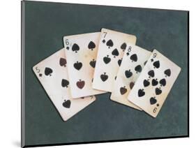 Straight Flush-Lisa Danielle-Mounted Art Print