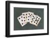 Straight Flush-Lisa Danielle-Framed Giclee Print