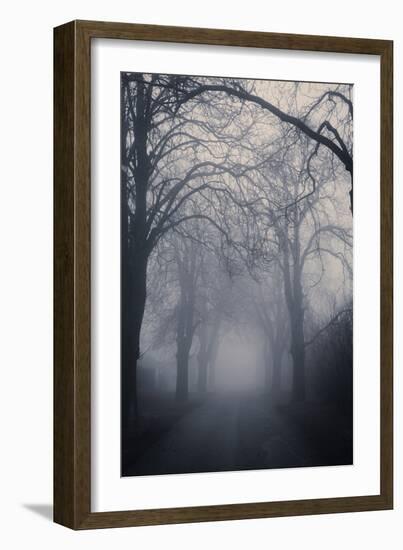 Straight Foggy Passage Surrounded by Dark Trees-vkovalcik-Framed Photographic Print