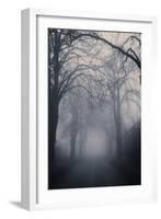 Straight Foggy Passage Surrounded by Dark Trees-vkovalcik-Framed Photographic Print