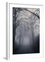 Straight Foggy Passage Surrounded by Dark Trees-vkovalcik-Framed Photographic Print