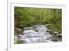 Straight Fork Creek in Spring, Great Smoky Mountains National Park, North Carolina-Richard and Susan Day-Framed Photographic Print