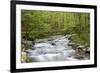 Straight Fork Creek in Spring, Great Smoky Mountains National Park, North Carolina-Richard and Susan Day-Framed Photographic Print