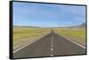 Straight paved road, Bayandalai district, South Gobi province, Mongolia, Central Asia, Asia-Francesco Vaninetti-Framed Stretched Canvas