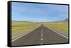 Straight paved road, Bayandalai district, South Gobi province, Mongolia, Central Asia, Asia-Francesco Vaninetti-Framed Stretched Canvas