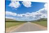 Straight road in the Mongolian steppe and clouds in the sky, North Hangay province, Mongolia, Centr-Francesco Vaninetti-Stretched Canvas