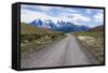 Straight Road Leading Through the Torres Del Paine National Park, Patagonia, Chile, South America-Michael Runkel-Framed Stretched Canvas