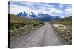 Straight Road Leading Through the Torres Del Paine National Park, Patagonia, Chile, South America-Michael Runkel-Stretched Canvas