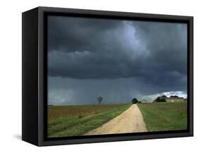 Straight Rural Dirt Road Through Farmland Near Le Mans, Sarthe in Loire, Centre, France-Michael Busselle-Framed Stretched Canvas