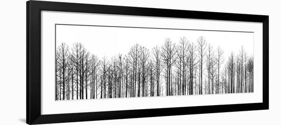 Straightforward-Jamie Cook-Framed Premium Giclee Print