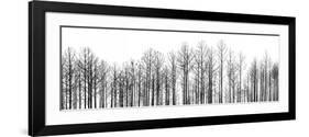 Straightforward-Jamie Cook-Framed Premium Giclee Print