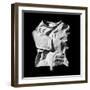 Strait Jacket-Kevin Curtis-Framed Premium Photographic Print