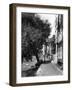 Strand-On-The-Green-Fred Musto-Framed Photographic Print