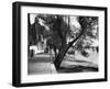 Strand-On-The-Green-Fred Musto-Framed Photographic Print