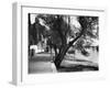 Strand-On-The-Green-Fred Musto-Framed Photographic Print