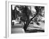 Strand-On-The-Green-Fred Musto-Framed Photographic Print