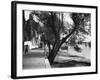 Strand-On-The-Green-Fred Musto-Framed Photographic Print