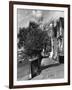 Strand-On-The-Green-Fred Musto-Framed Photographic Print