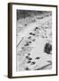 Stranded Travelers in the Snow-Denis Paquin-Framed Photographic Print