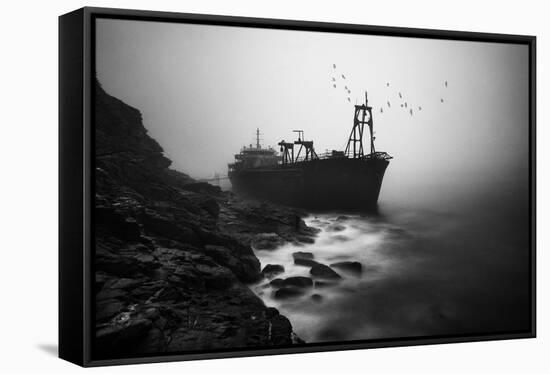 Stranded-liu xing-Framed Stretched Canvas